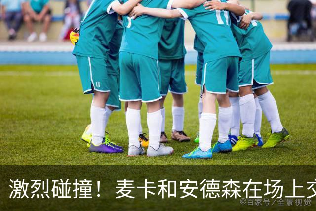 激烈碰撞！麦卡和安德森在场上交锋后胸部相撞